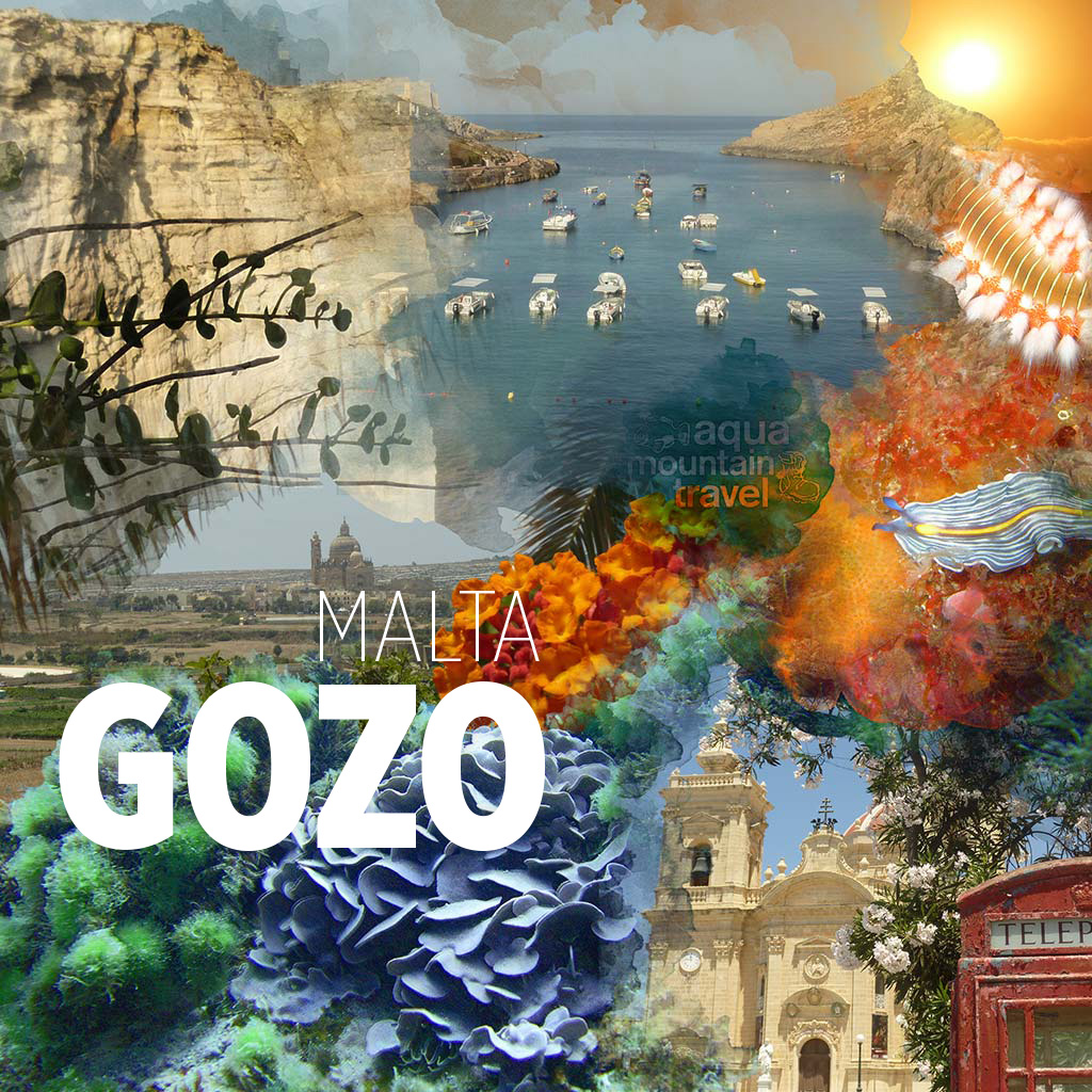 Tauchreiseprogramm Malta Gozo