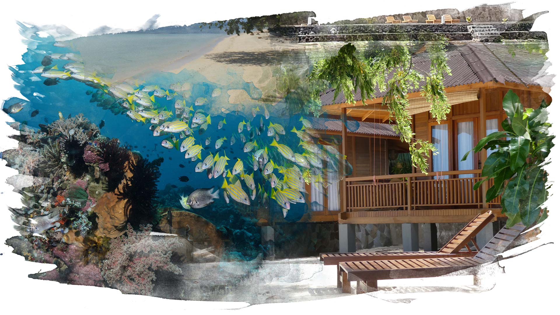 Bastianos Dive Resort Bangka Image 3